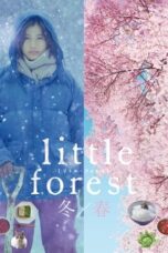 Little Forest: Winter/Spring (2015)